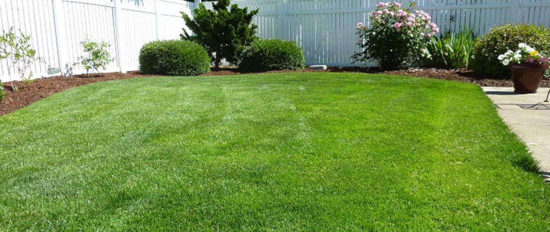 Lawn Mowing by Northside Lawn Maintenance