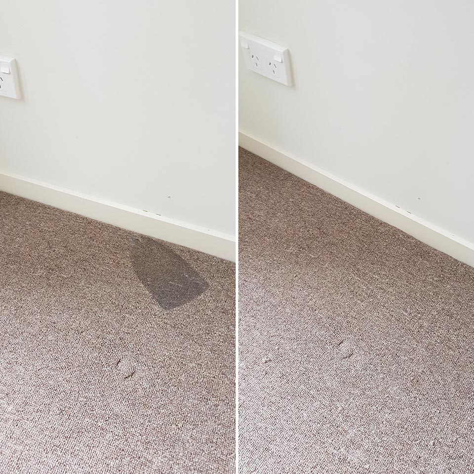 Carpet Repairs