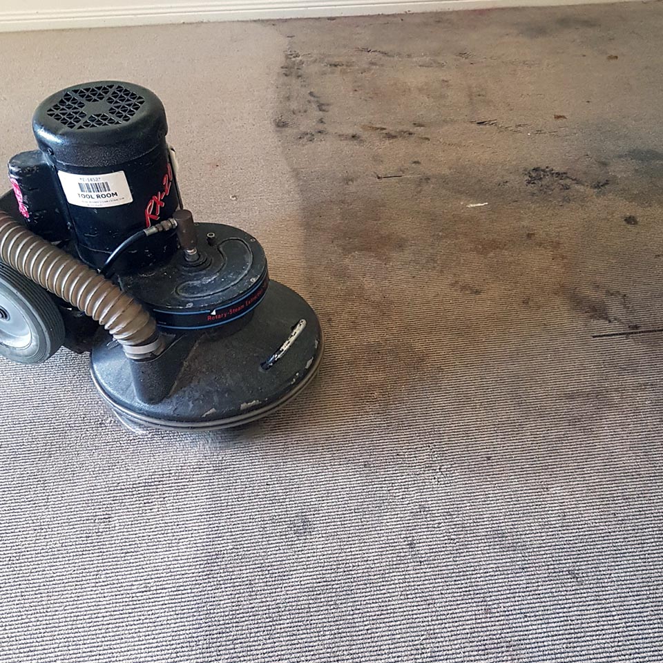 Vacate / Bond Carpet Cleaning