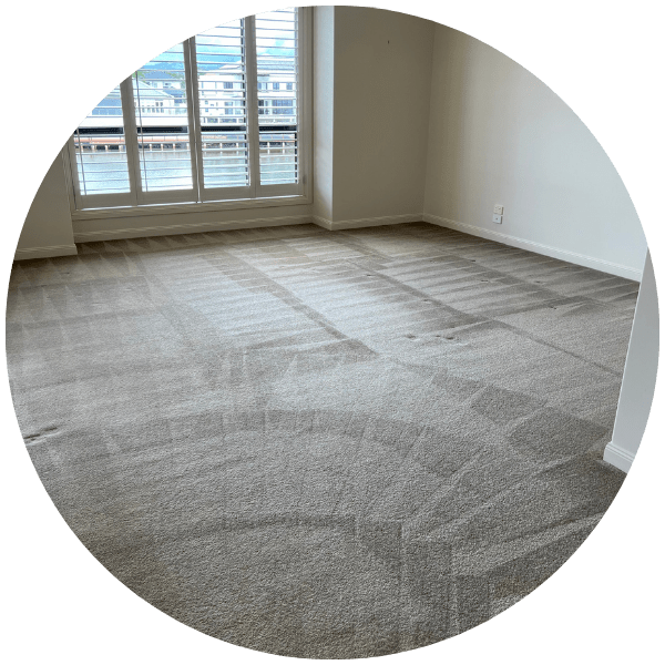 Carpet steam clean on the Gold Coast