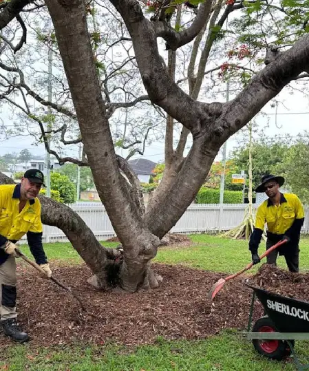 Oxley GPM crew mulching and maintaining a Brisbane garden