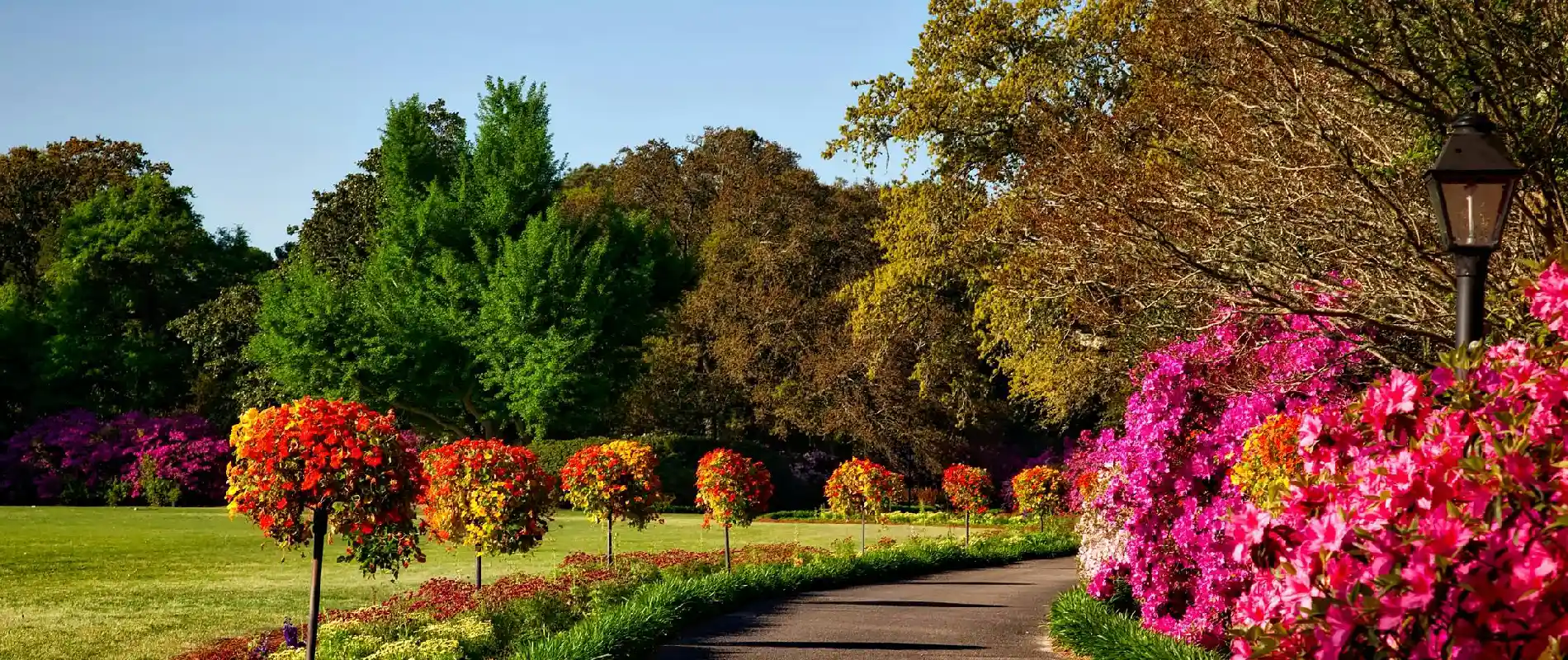 Manicured Brisbane grounds maintained by Oxley GPM