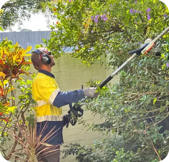 Oxley GPM team member trimming a hedge with a pole saw in Brisbane