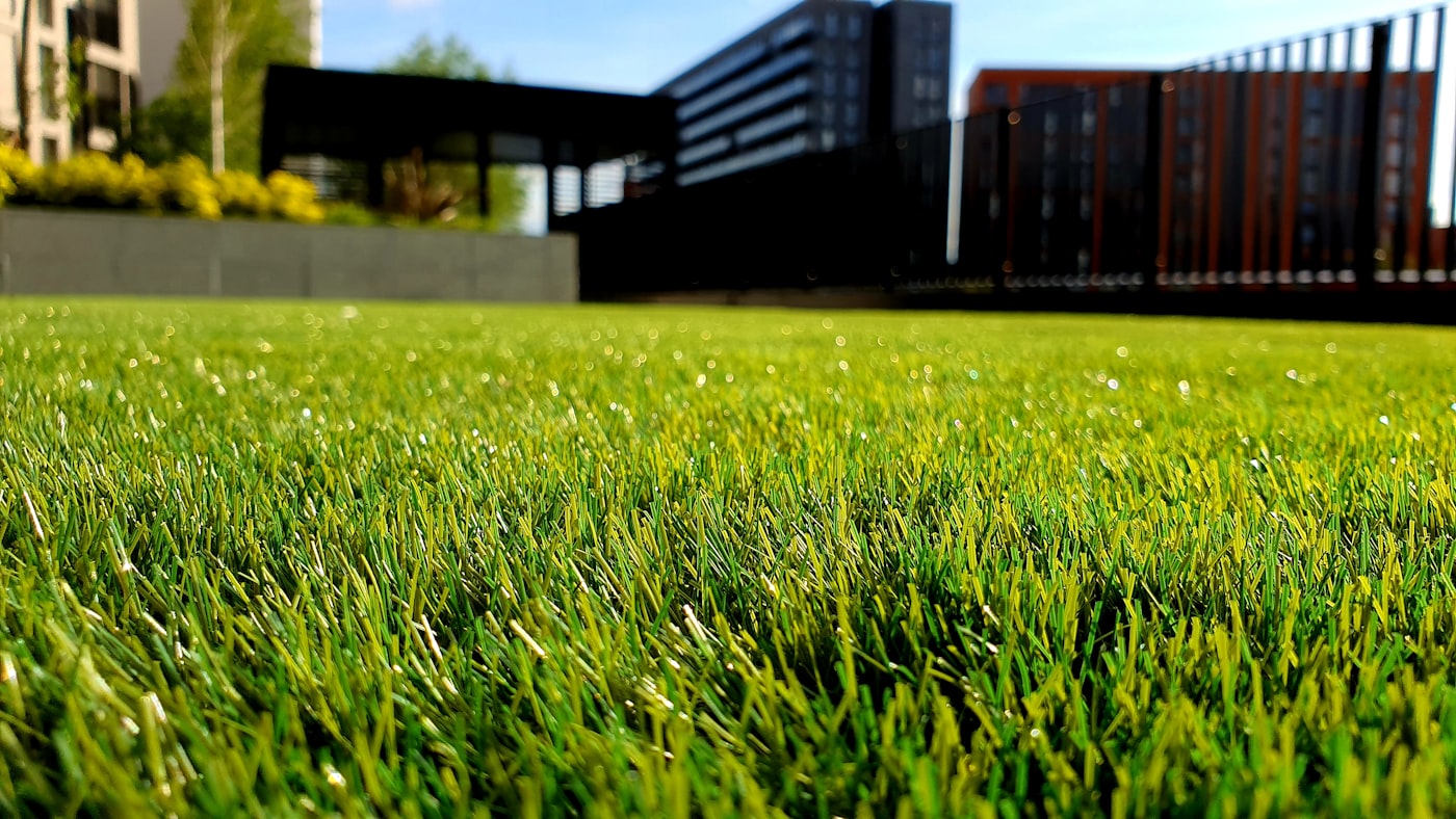 Lawn mowing Brisbane