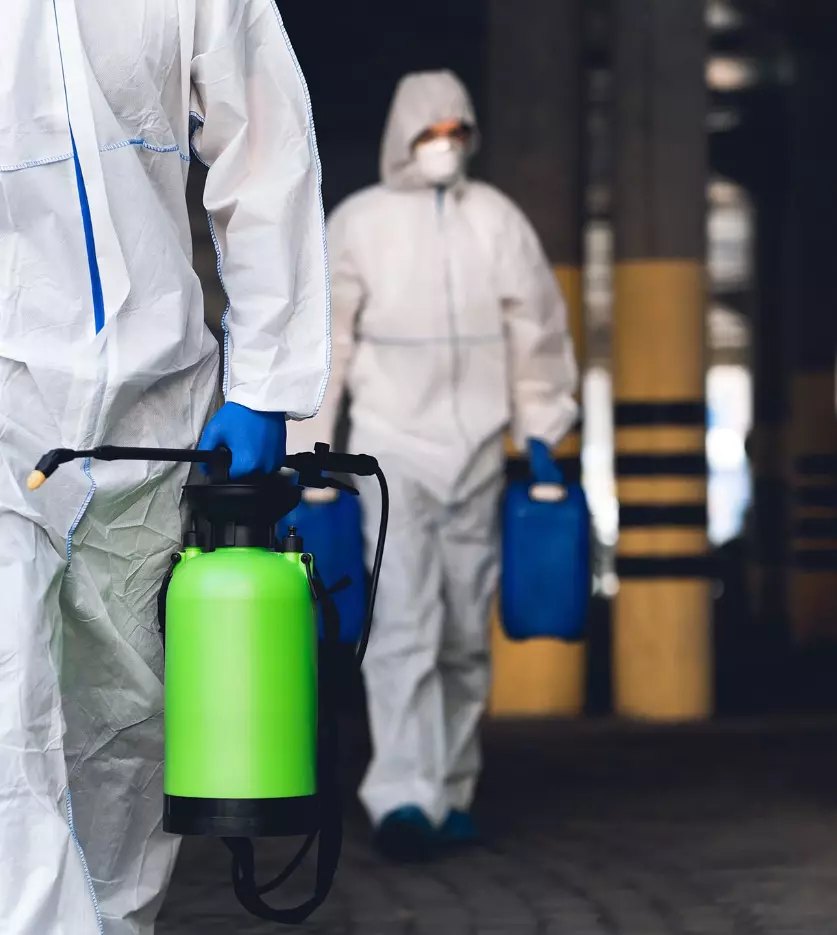 Ozclean professional cleaners
