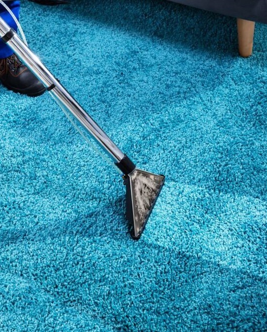 Carpet stain removal in Brisbane