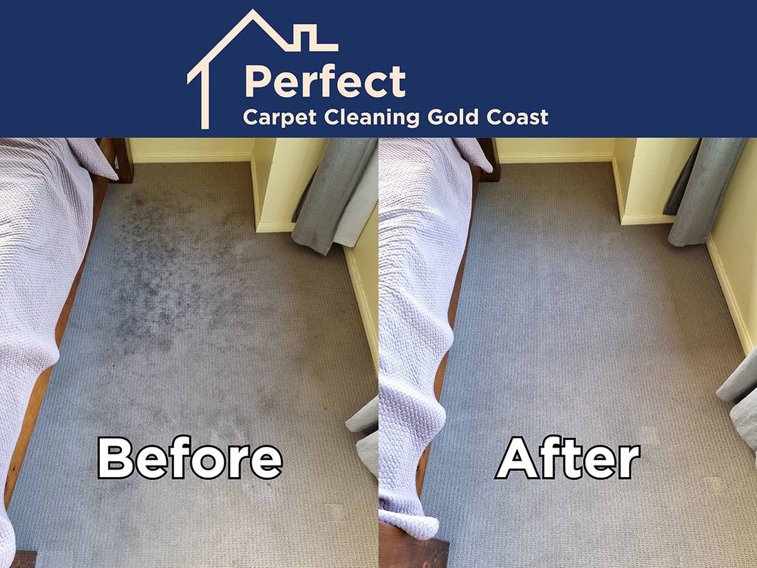 Carpet cleaning result in Carrara