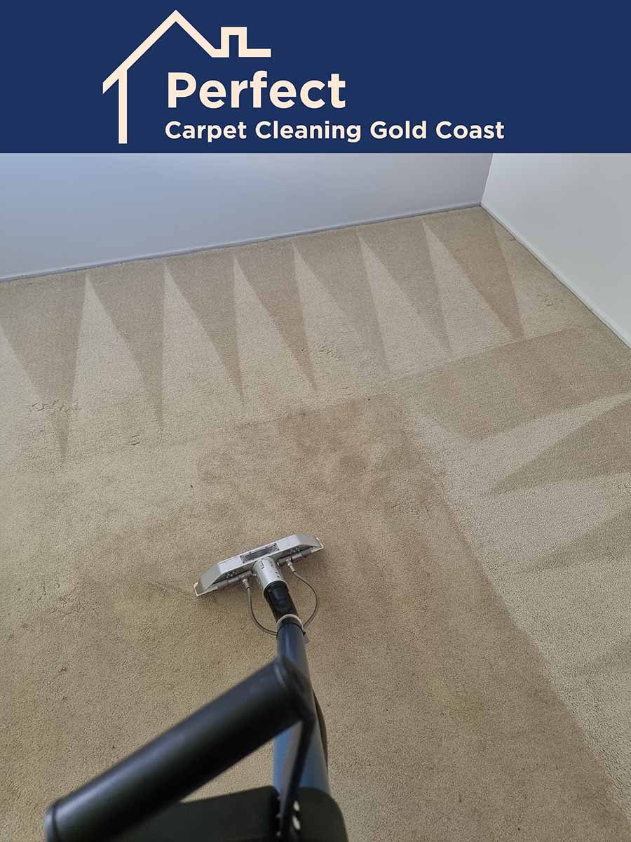 Carpet cleaning result in Highland Park