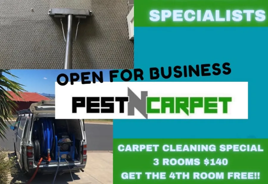 Pest N Carpet brand image used for carpet cleaning enquiries