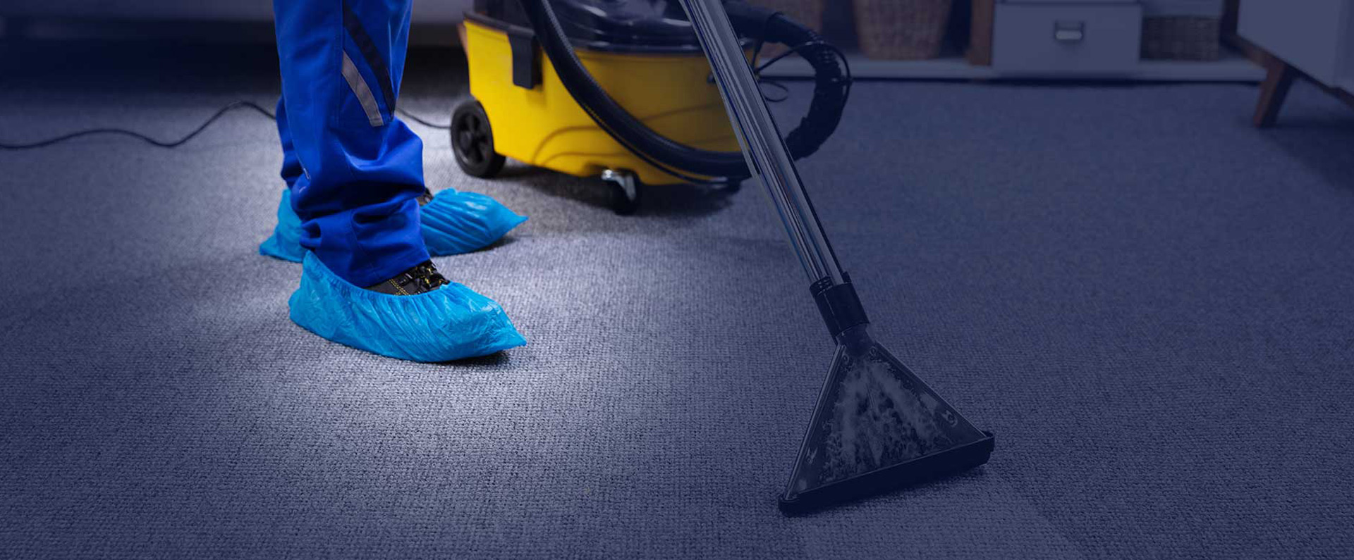 Professional carpet cleaning service Gold Coast