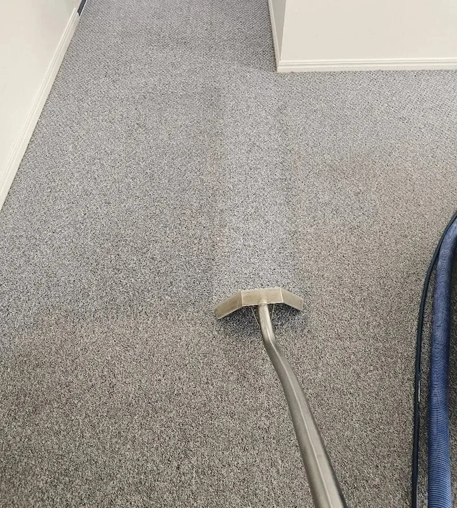 Precision Surface Care