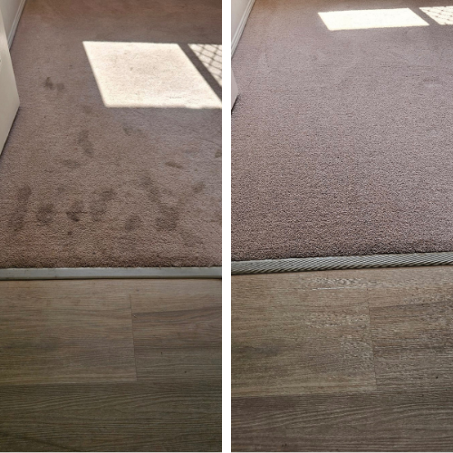 Carpet before and after a Precision Surface Care steam clean