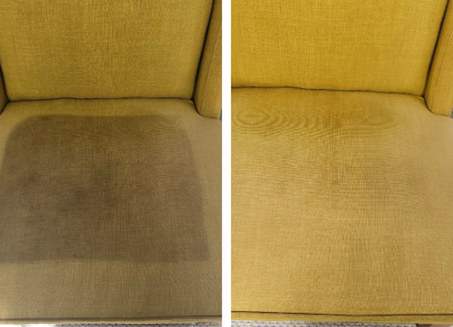Freshly cleaned upholstered chair