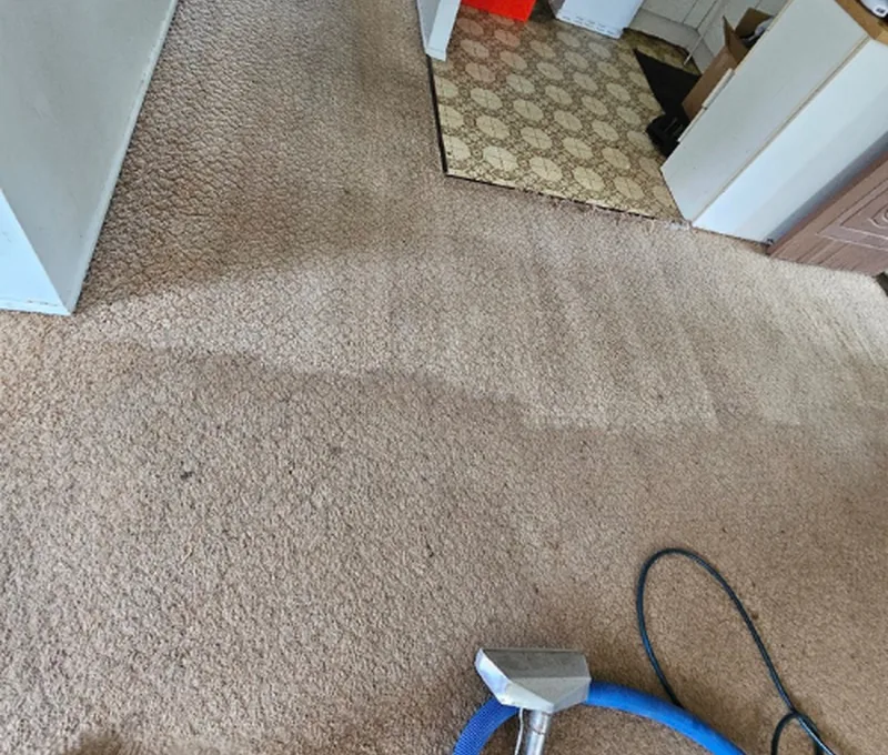 Precision Surface Care