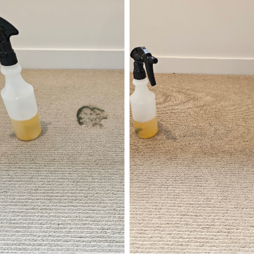 Mould Removal