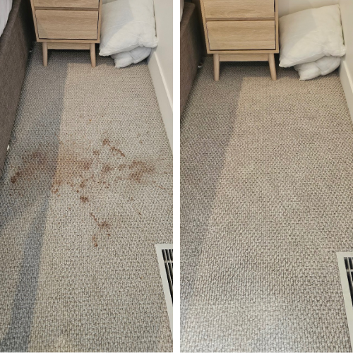 Wool carpet before and after a Precision Surface Care steam clean