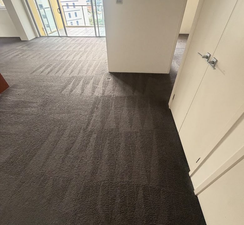 PRO Carpet Cleaning technician steam cleaning a carpet in Brisbane