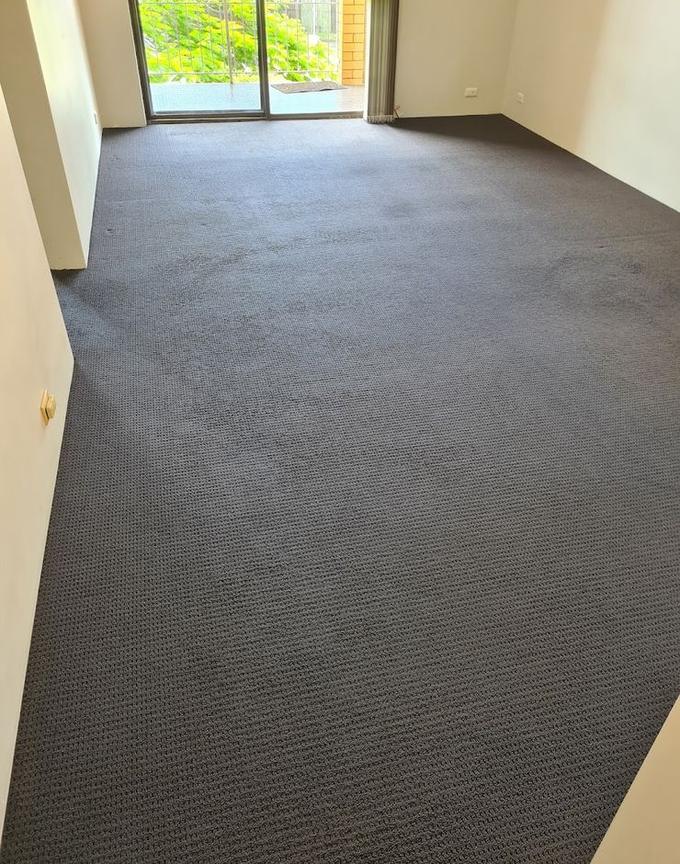 PRO Carpet Cleaning steam cleaning a carpet in a Brisbane home