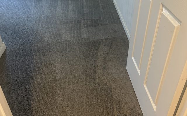 Carpet Steam Cleaning in Brisbane