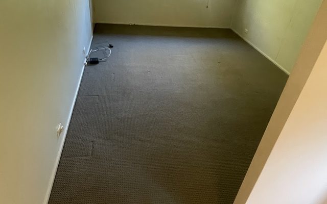 Upholstery and lounge cleaning in Brisbane
