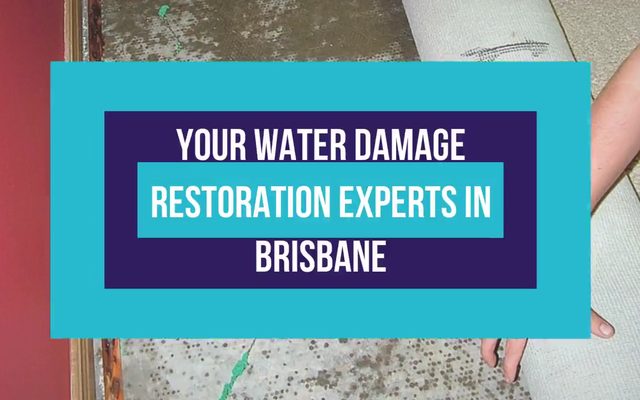 Water damage restoration in Brisbane