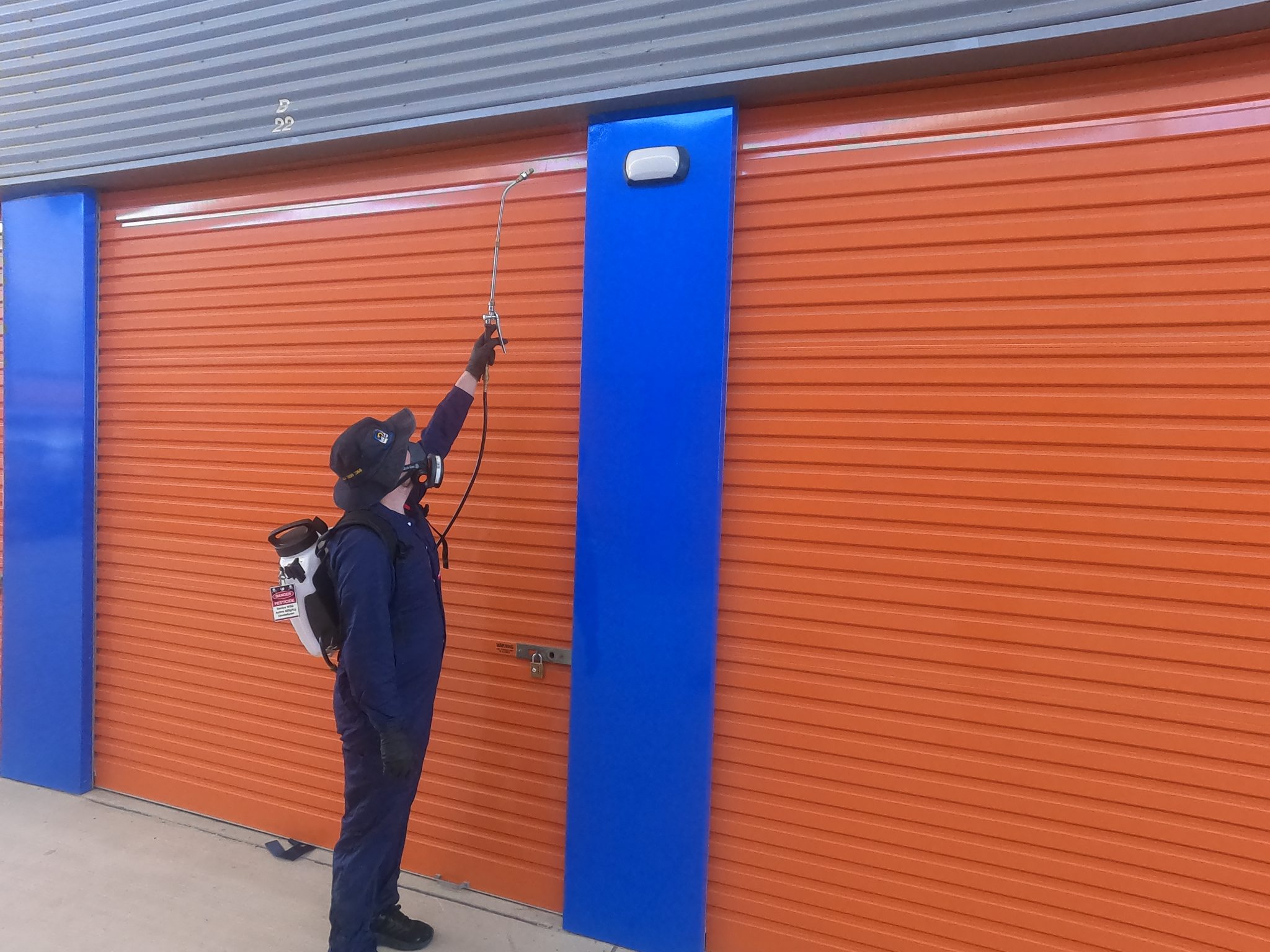 Pest management service in progress