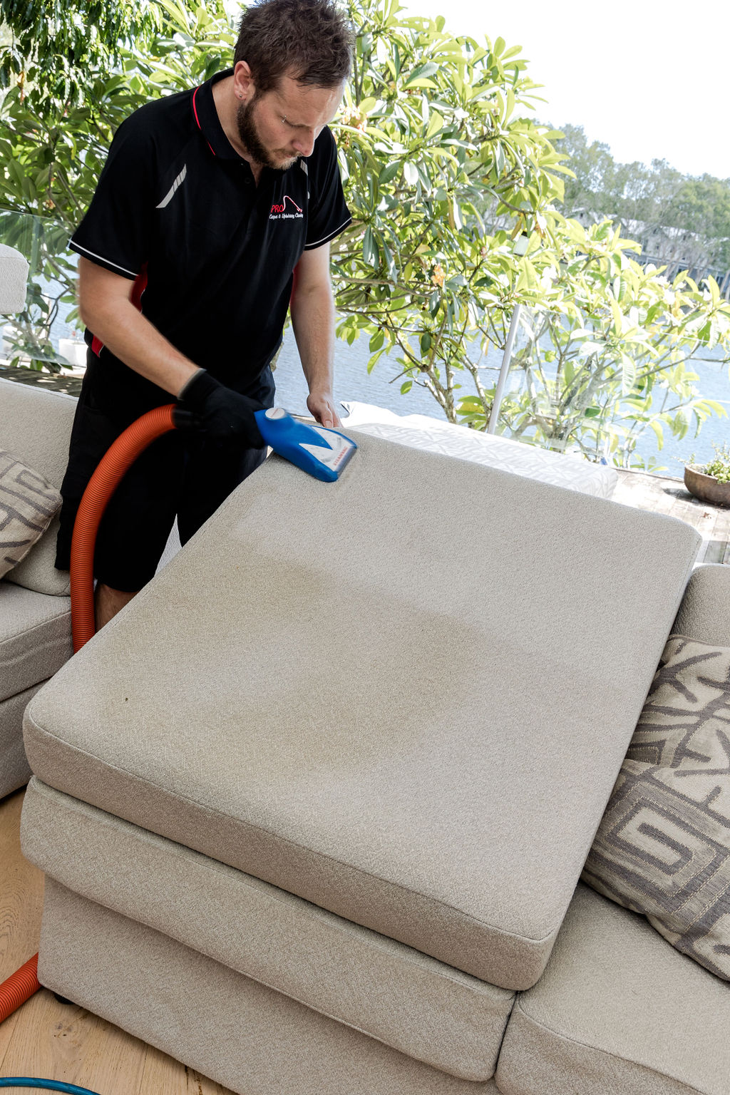 Pest Control by Pro Carpet & Upholstery Cleaning on the Sunshine Coast