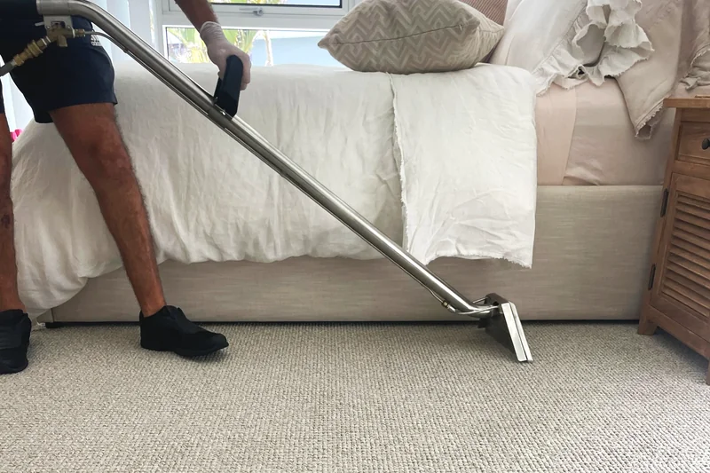 Rug cleaning service