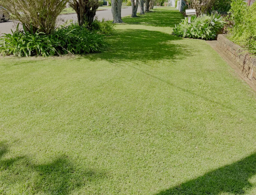 Well-kept lawn and garden by PureEdge