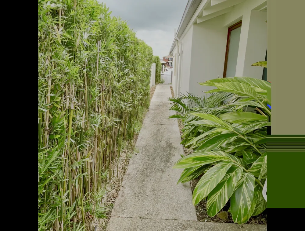 Hedging & Shaping by PureEdge Property Maintenance