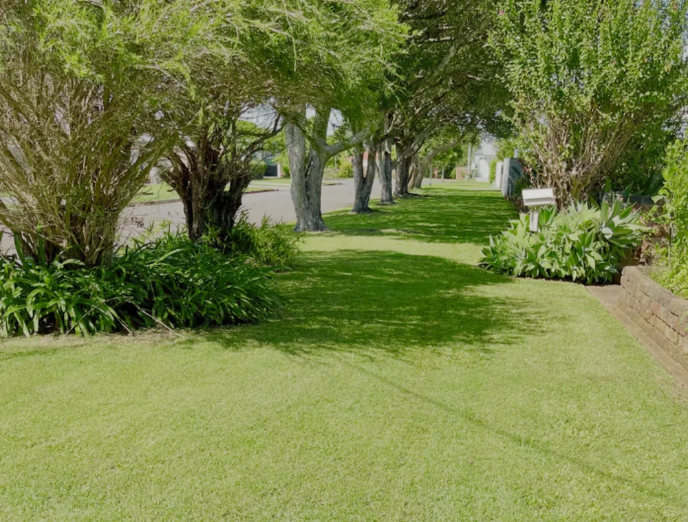 Regular Lawn Mowing & Property Maintenance by PureEdge Property Maintenance