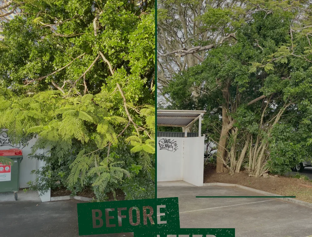 Tree Removal, Trimming & Pruning by PureEdge Property Maintenance