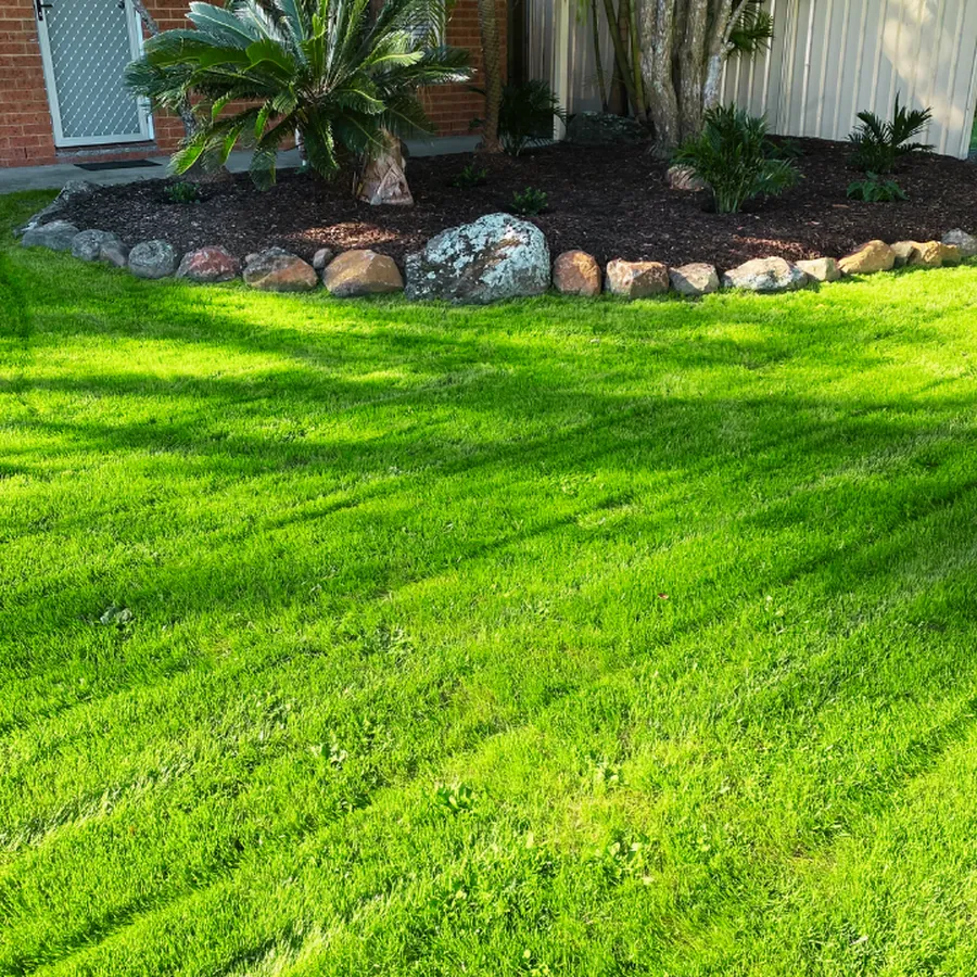 Garden and lawn transformation - Springwood