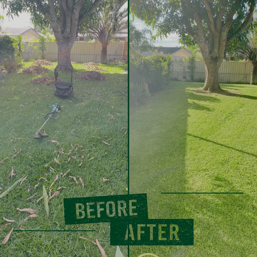 Garden makeover - Springwood