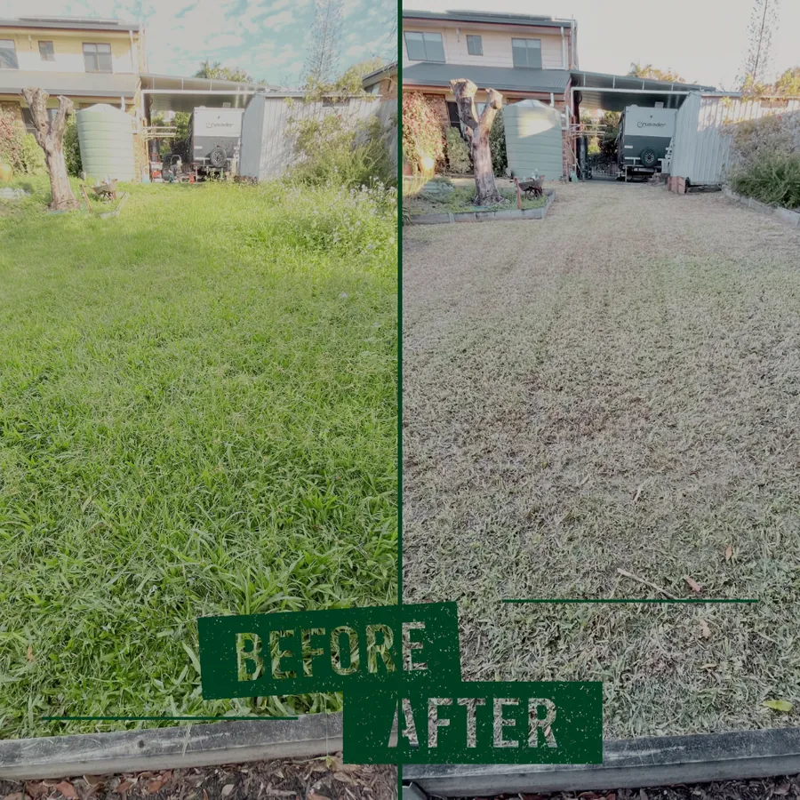 Complete garden maintenance