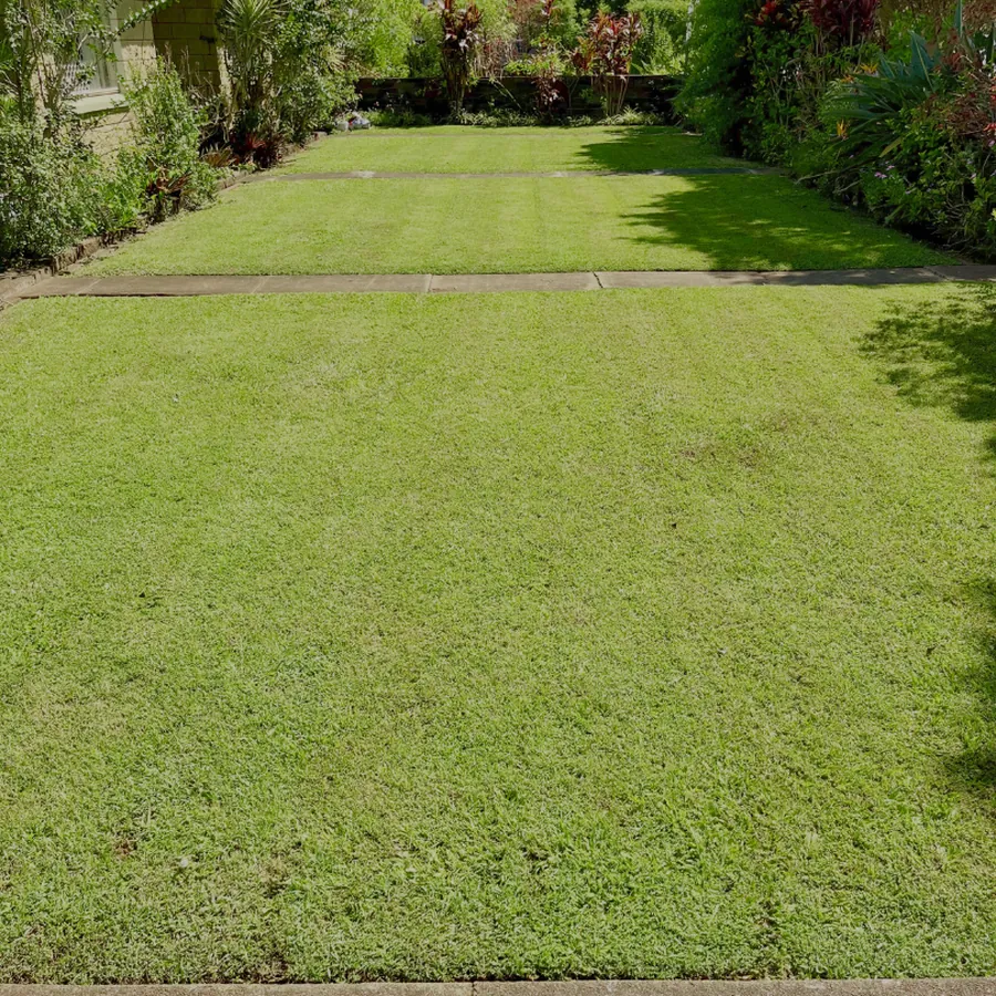 Lawn maintenance - Cleveland