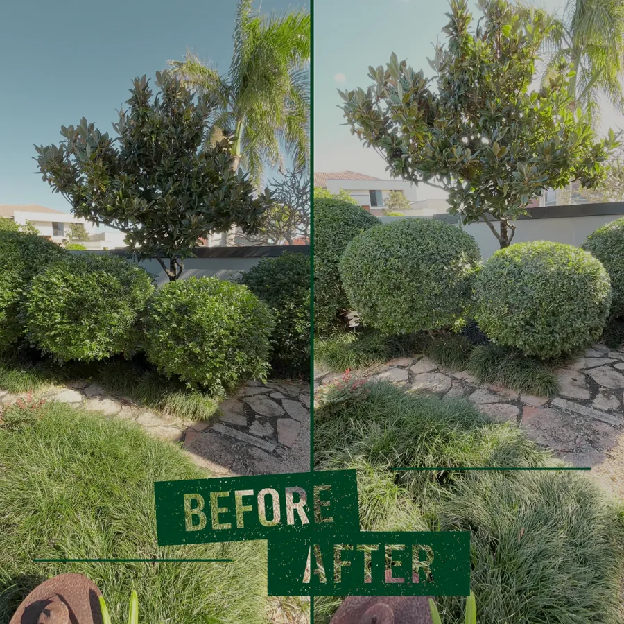 Garden clean out - Rochedale South
