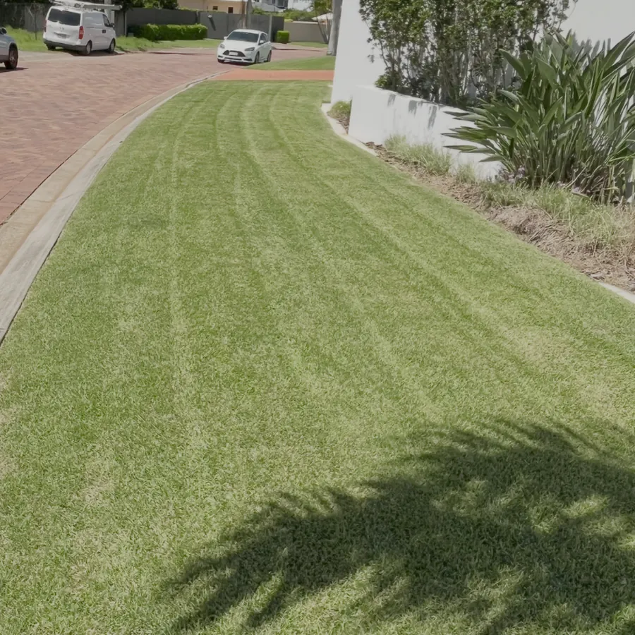 Lawn maintenance - Brisbane South