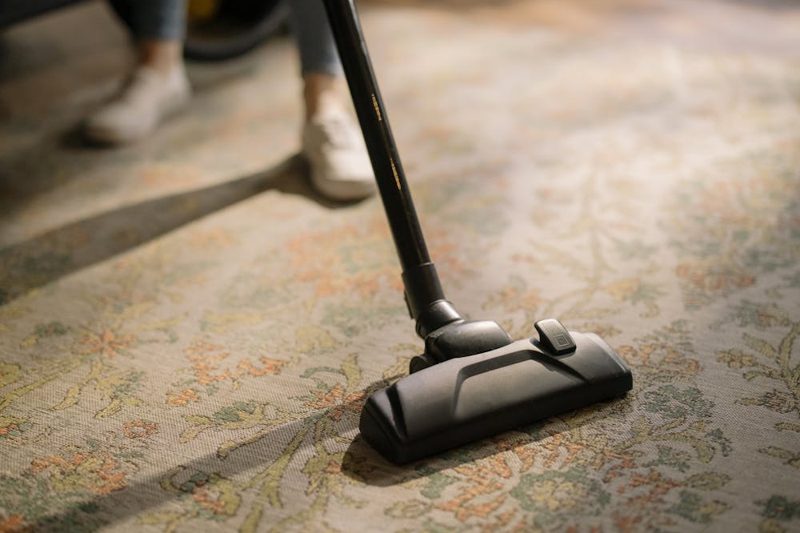 Professional carpet steam-cleaning wand lifting dirt from a patterned rug