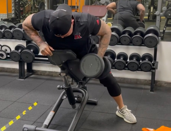 Dumbbell row — strength training
