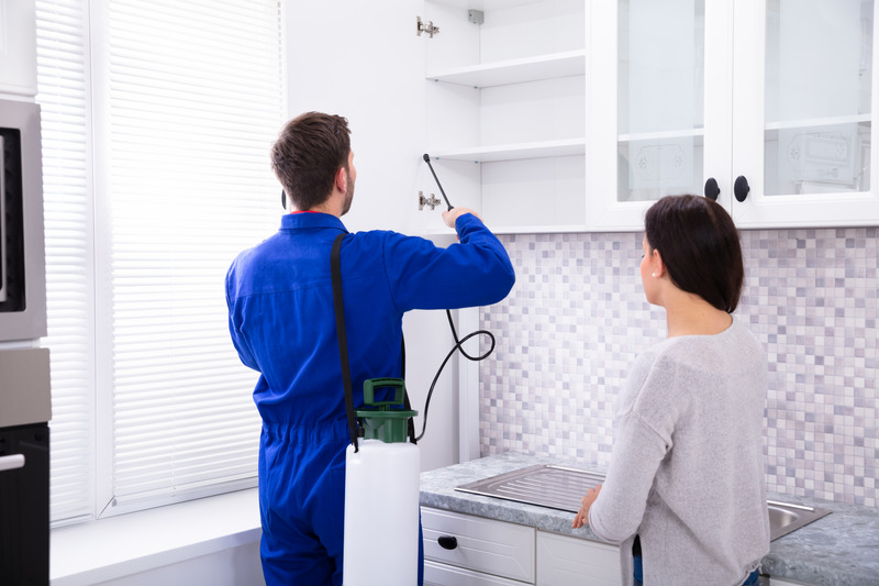 Carpet Cleaning and Pest Control Brisbane