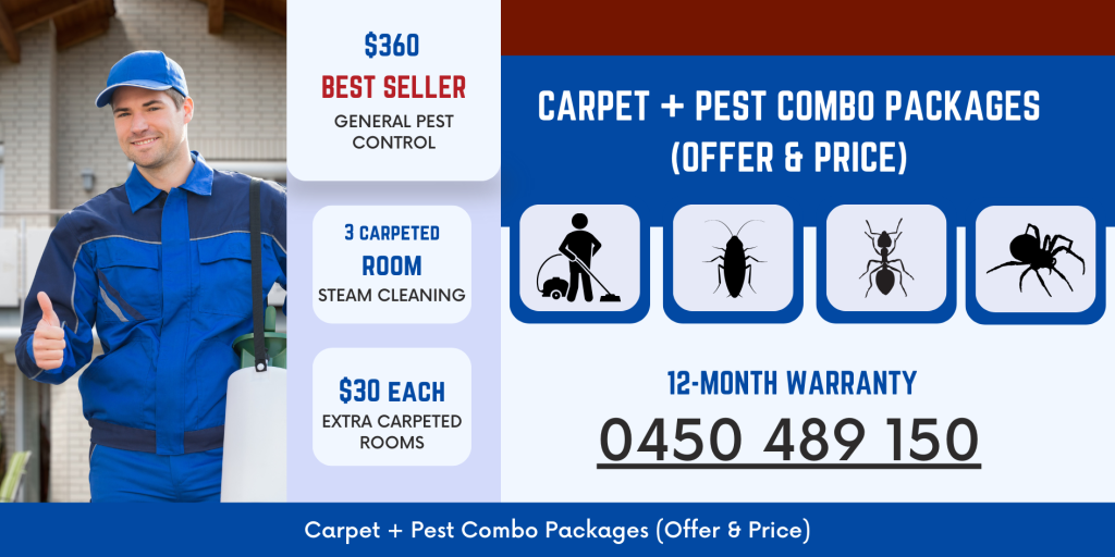 Really Cheap Carpet Cleaning carpet and pest combo offer