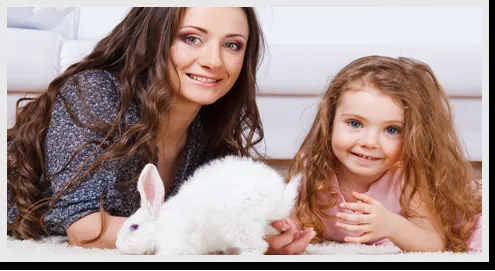 Pet Stain & Odour Removal in the Redlands