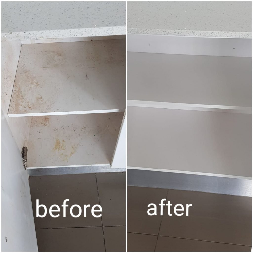 Move Out Cleaning in Brisbane