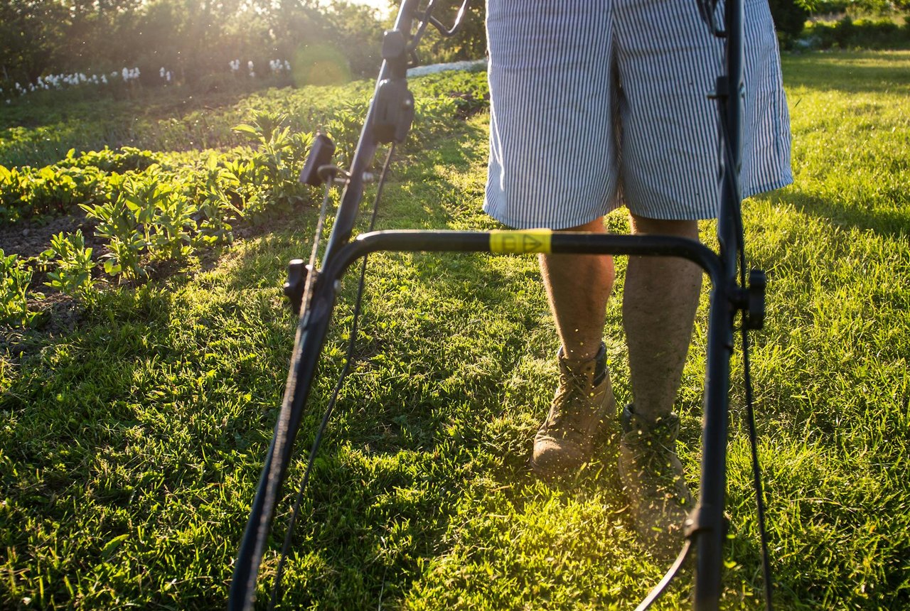 Lawn Mowing service photo