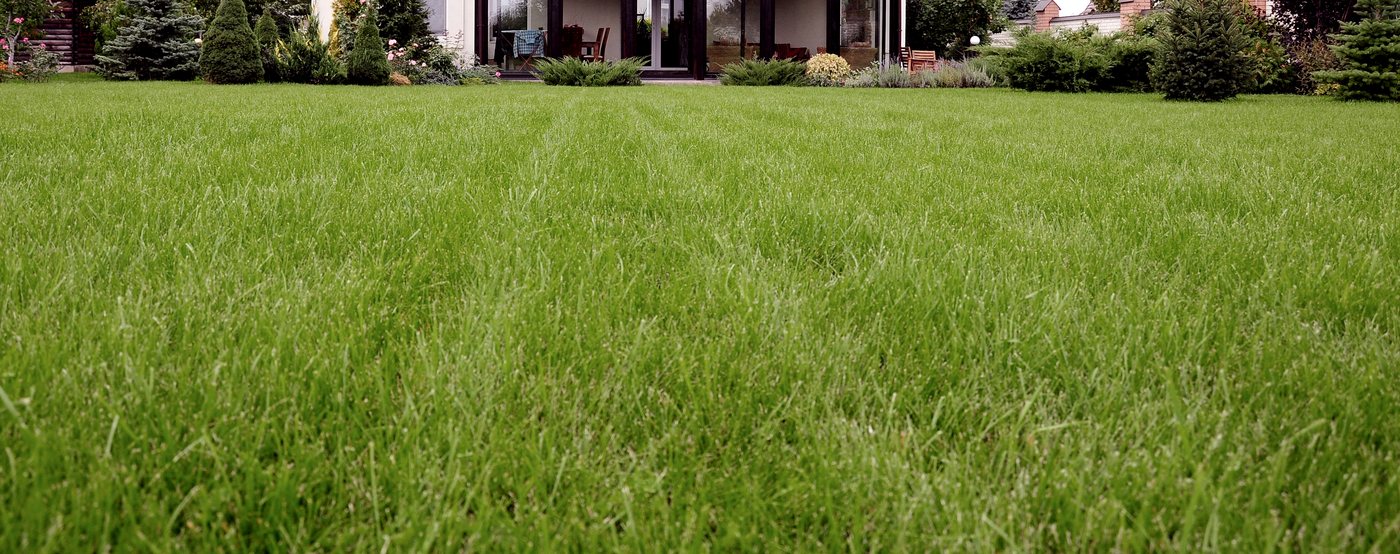 Planning & Design project by Revamp Landscapes