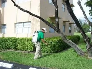 Carpet & Pest Packages