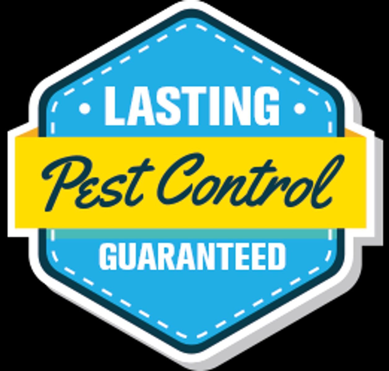 Bed Bug Removal
