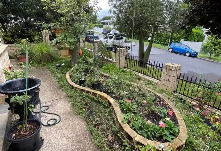 Maintained kerbside garden beds along a commercial streetscape