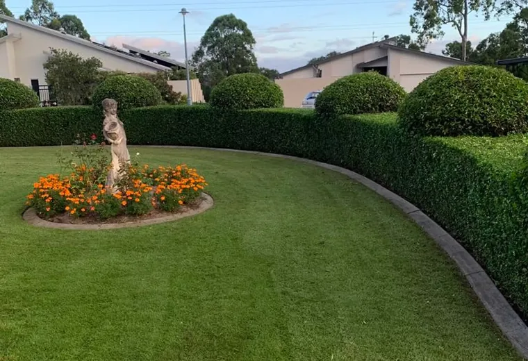 Presentation-ready front garden with clipped hedges and flower beds